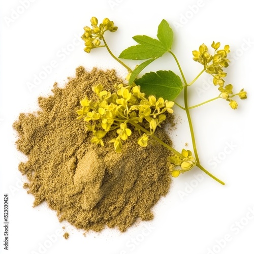 Asafoetida Powder with Celandine Plant and Yellow Flowers