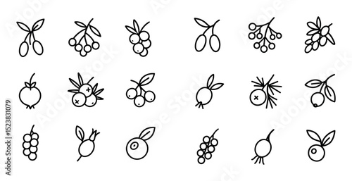 Medicinal Berry Icons