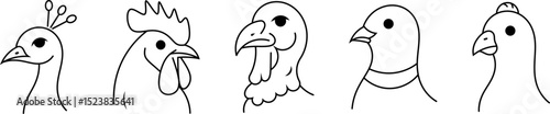 Bird face line icon set. Vector illustrations of peacock, rooster, turkey, pigeon, and parrot in minimalist outline style.