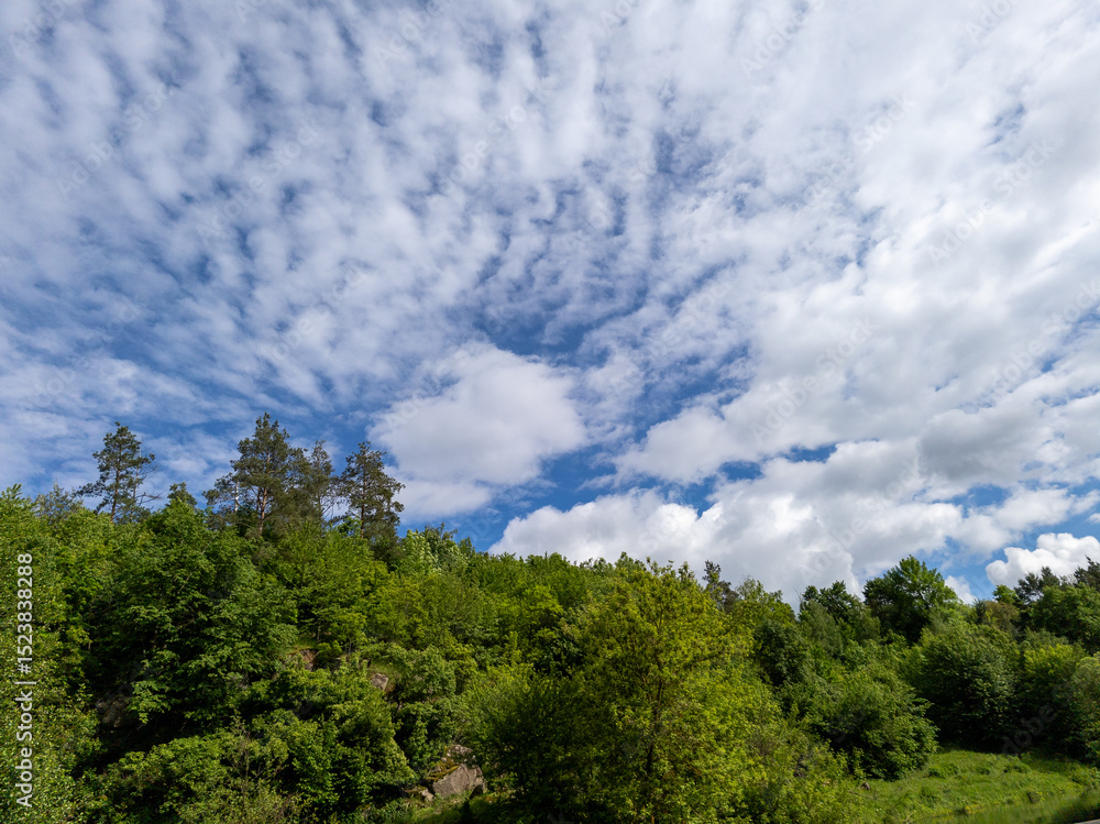 A view of a river with trees and clouds in the sky A view of a river with trees and clouds in the sky
