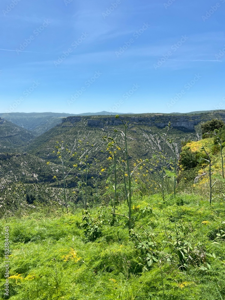 Obraz premium Navacelles canyon in les Cévennes