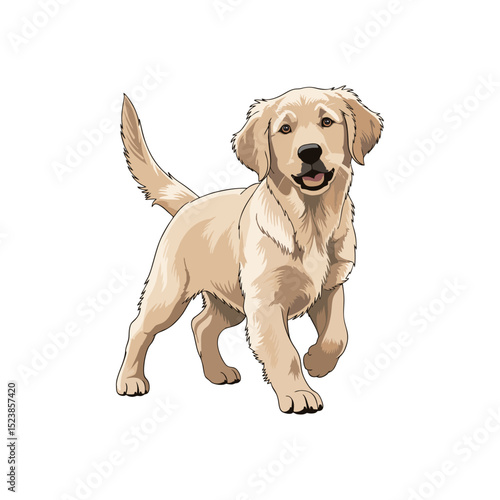 Vector illustration of a golden retriever puppy isolated in white