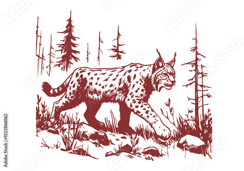 Lynx hand drawn sketch vector illustration