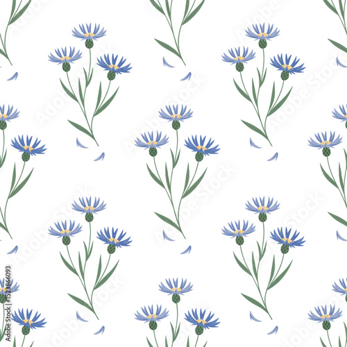 Seamless pattern of blue cornflowers on transparent background, concept for textile design, wallpaper, and floral illustrations