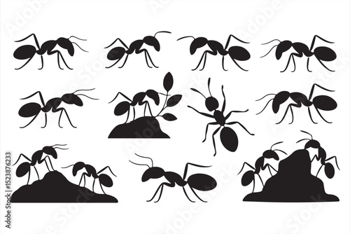 Illustrative Black Ant Vectors with Leaf and Walking Interactions