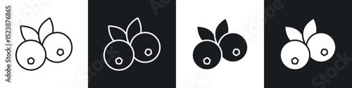 Blueberry icons in solid and stroke graphics