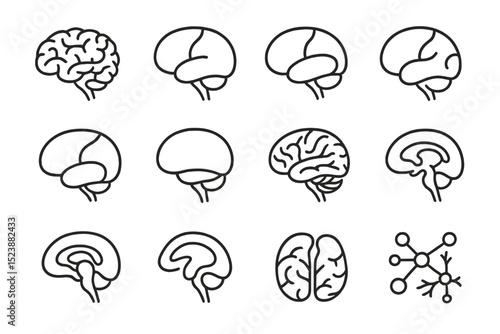 Brain diagram set featuring various styles of human brain illustrations