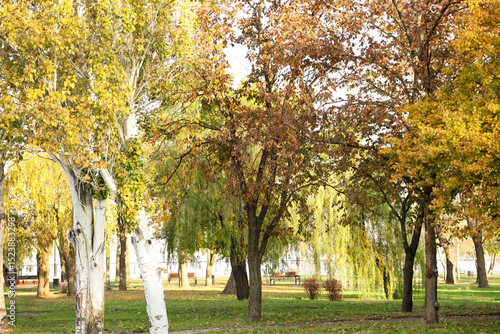 Beautiful autumn park with ...