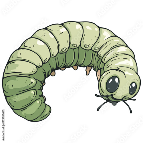 silkworm, insect, vector, transparent background, organism, bombyx mori, isolated, animal, nature