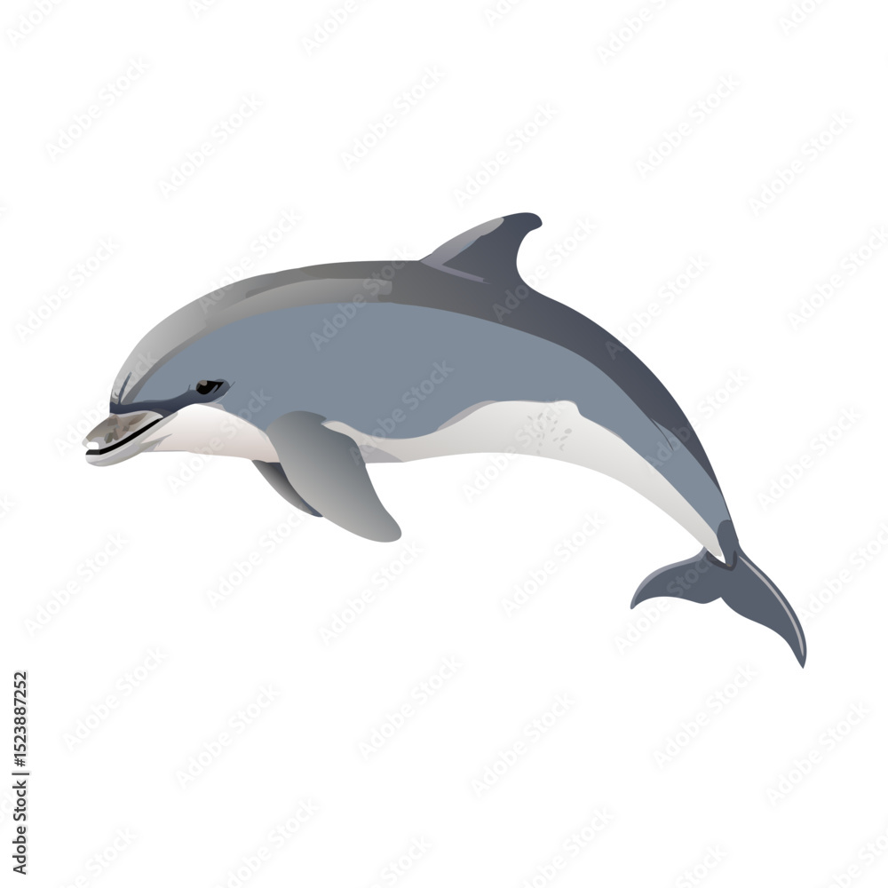 Obraz premium dolphin jumping isolated on white