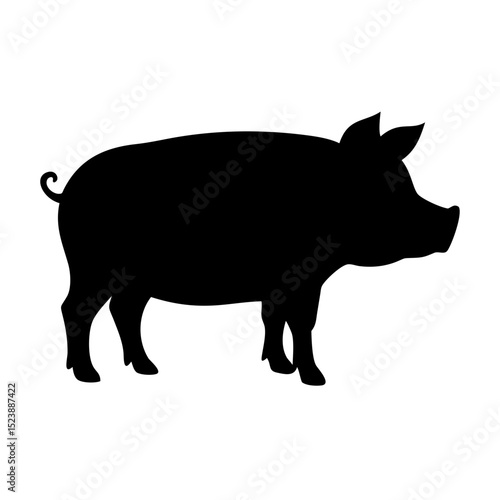 vector illustration of a pig