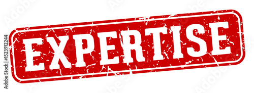expertise rectangular sign. expertise stamp