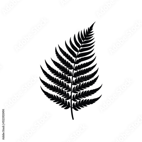 Fern Leaf Vector Silhouette Curling Green