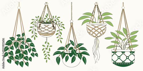 Vector Image of 5 Hanging Plants in Macrame or Decorative Pots A Collection of Botanical Illustrations