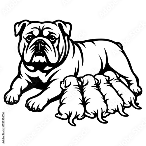 Vector image of an English bulldog mother nursing five puppies. Clean black and white artwork
