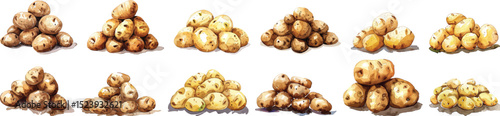 Potato Piles Vector Illustration Set on White Background
