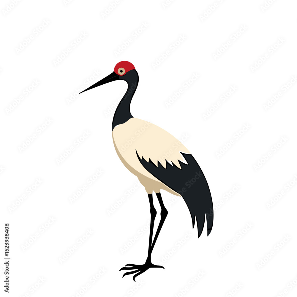 Obraz premium Elegant Red-Crowned Crane Illustration with Black and White Plumage Standing Gracefully on a White Background
