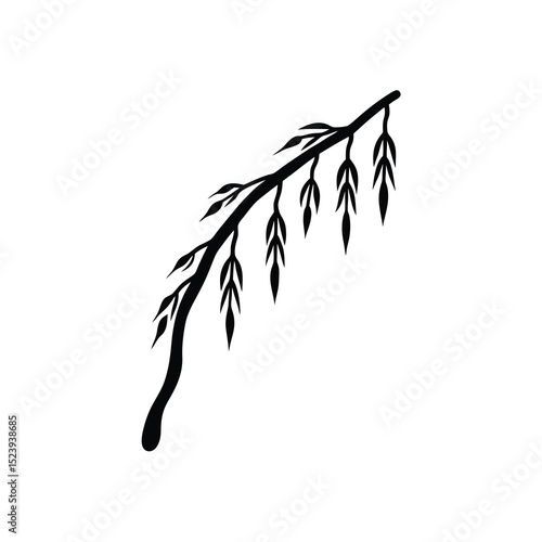 Willow Branch Vector Silhouette Eco Drooping