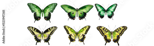 green and yellow butterflies on transparent background