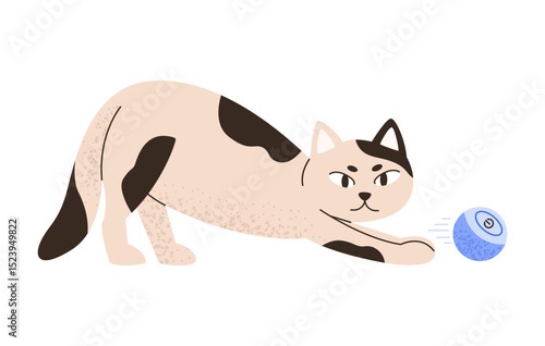 Cat play with interactive ball