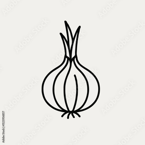 Outline illustration of an onion in minimalist style  