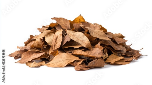 Pile Dried Autumn Leaves.