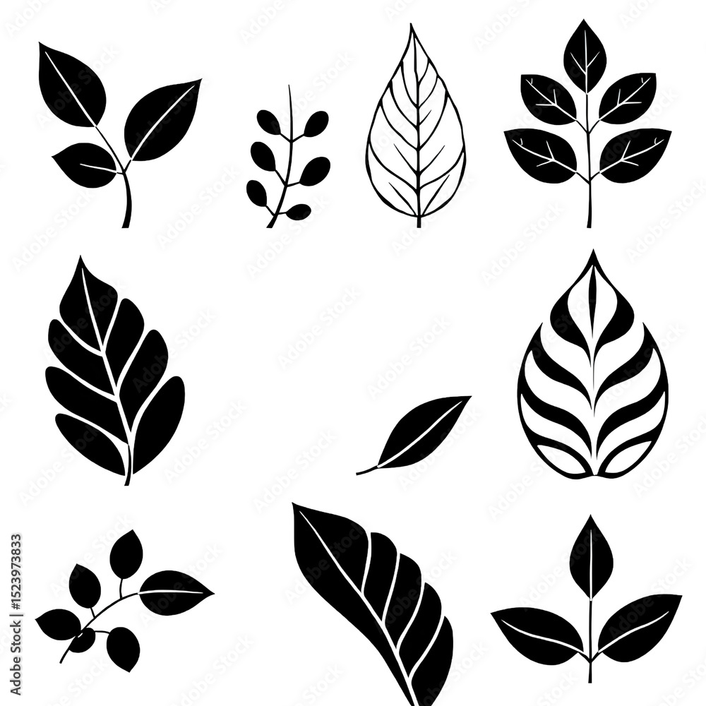 Collection of Black and White Leaf Illustrations Simple Botanical Line Art Designs Collection of Black and White Leaf Illustrations Simple Botanical Line Art Designs