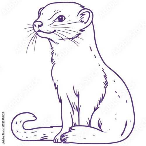 ferret, animal, vector, transparent background, creature, mustela putorius furo, cute, mammal, isolated, wildlife, one animal, nature, furry, vertebrate