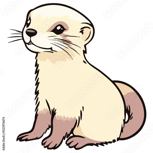 ferret, animal, vector, transparent background, creature, mustela putorius furo, cute, mammal, isolated, wildlife, one animal, nature, furry, vertebrate