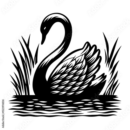 Black swan in reeds water bird graphic design