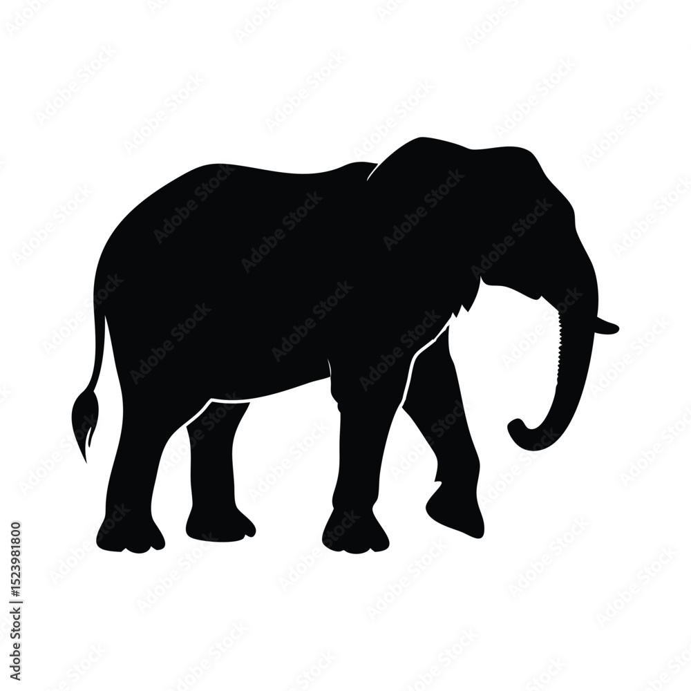 Fototapeta premium elephant black vector silhouette