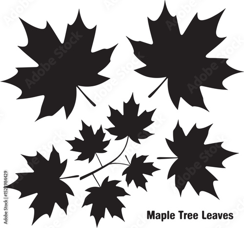 Maple Leaf Silhouette Vector – Autumn & Canadian Theme

Stylized Maple Leaf Clipart – Fall Season Decoration

Minimal Maple Leaf Icon for Nature & Forest Designs

Canadian Maple Leaf Emblem – SVG, PNG