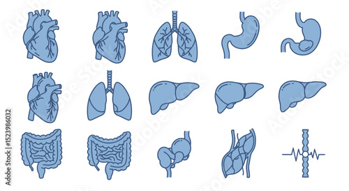 Light Blue Anatomical Organ Set Heart Lungs Liver Stomach Intestines Vein and ECG