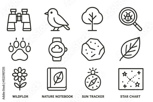 Nature-themed icon set with binoculars, bird, and tree illustrations