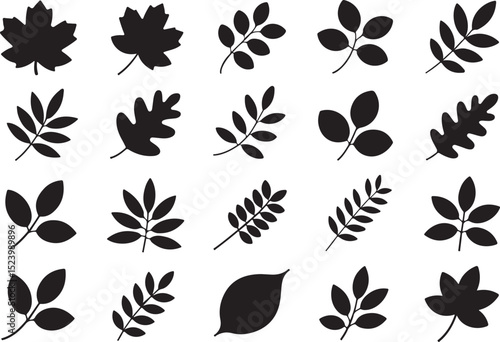 Maple Leaf Silhouette SVG – Perfect for Fall & Canada Designs

Elegant Maple Leaf Vector – Autumn & Thanksgiving Clipart

Canadian Maple Leaf Outline – Rustic Nature Design

Minimal Maple Leaf Cut Fil