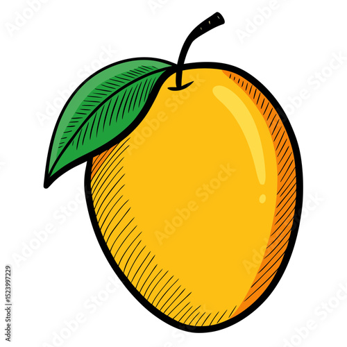 Mango pencil sketch in color with expressive lines and dramatic shading