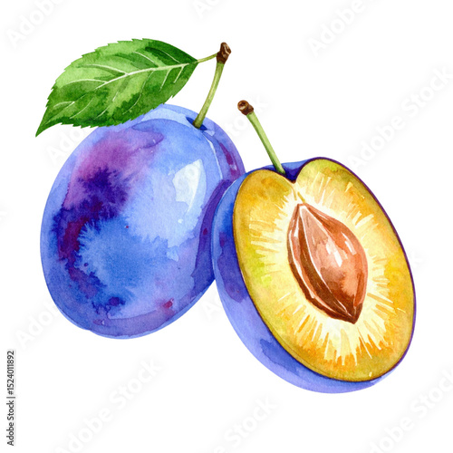 Watercolor illustration of whole and halved plums with vibrant colors and green leaf