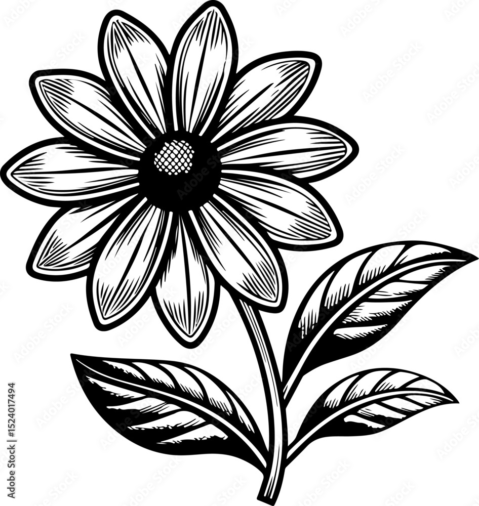 Fototapeta premium Web