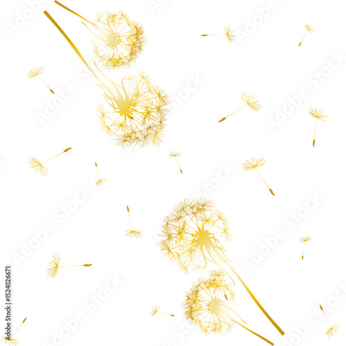 seamless pattern of down and dandelions with golden flowers on a transparent background.Isolated, close-up