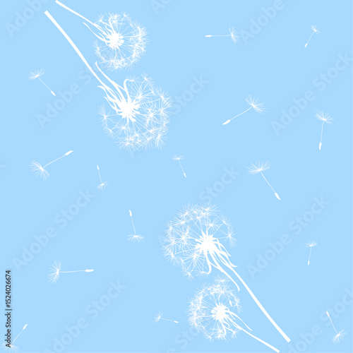 seamless pattern of down and dandelions with white flowers on a  blue background