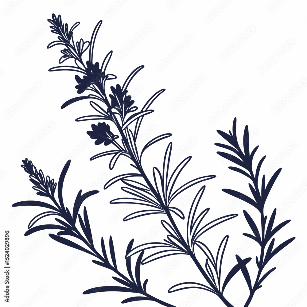 Naklejka premium black and white rosemary