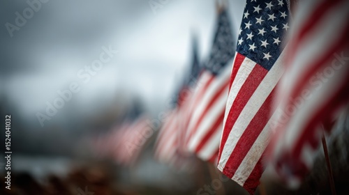 Rows of American Flags Waving on A Cloudy Memorial Day