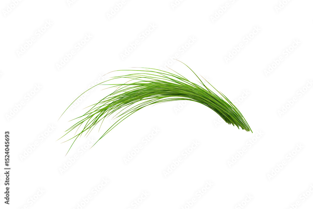 Fresh Green Chives: A cluster of vibrant green chives gracefully arranged, showcasing the freshness and natural beauty of this culinary herb. Fresh Green Chives: A cluster of vibrant green chives gracefully arranged, showcasing the freshness and natural beauty of this culinary herb.