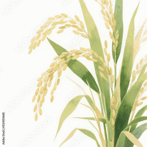 Oryza Dance rice stalks isolated watercolor vector illustration svg