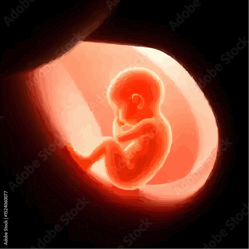 digital art of a baby protected in the womb 72