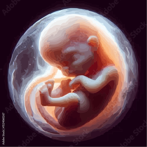 digital art of a baby protected in the womb 44