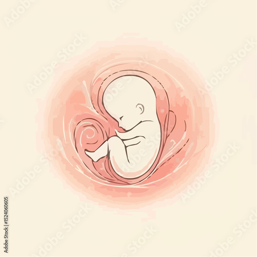 a comfortable baby in its mother's womb 89
