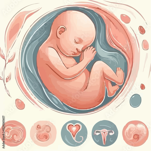 a comfortable baby in its mother's womb 88