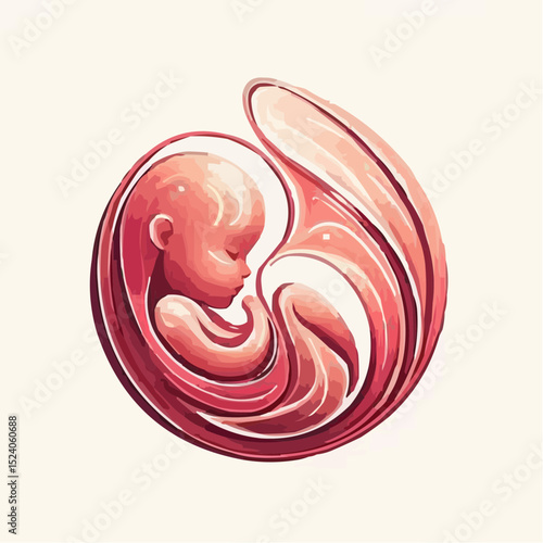 a comfortable baby in its mother's womb 77