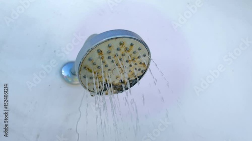 the shower head is covered in moss causing the water channel to be blocked